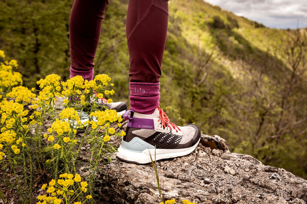 Adidas Terrex Free Hiker